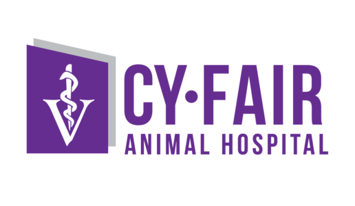CyFair Animal Hospital